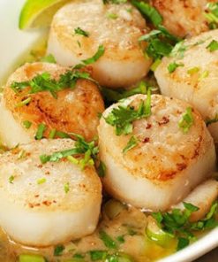 Cồi Sò Điệp Nhật