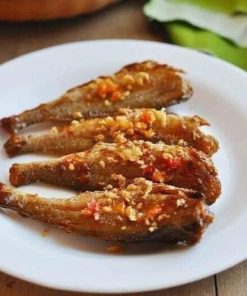 Cá Đù Sóc Nguyên Con