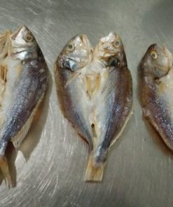 Khô Cá Ướp Giấy