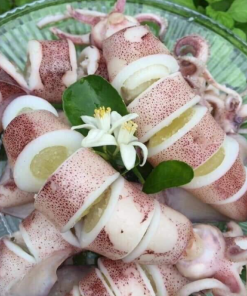 Mực Ống Trứng (Tươi)