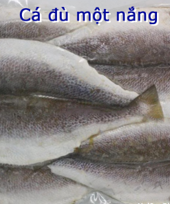 Cá Đù 1 Nắng