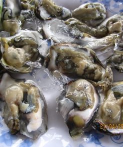 Hàu Sữa (Ruột Hàu)