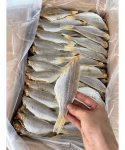 0,5kg cá phèn Hồng mới ngon béo để ăn cơm