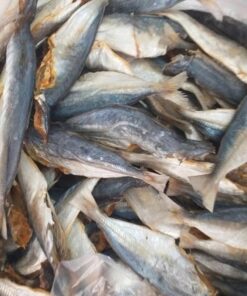 1kg CÁ NỤC phơi khô, mới, ngon, vị mặn