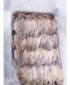 500 GAM MỰC KHÔ size nhỡ
