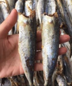 500gram CÁ NỤC HẤP (cá to) vị vừa ăn
