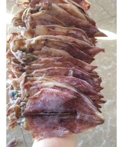 500gram mực loại nhỏ được 50 đến 60con