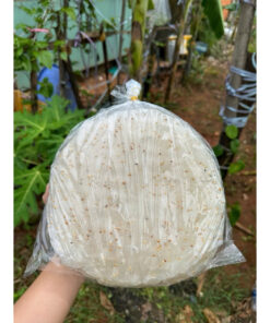 Bánh tráng bột gạo 350 gram