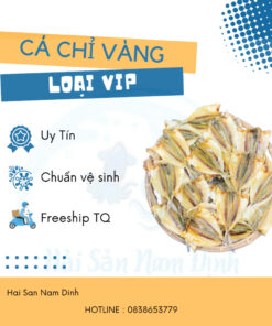 Cá Chỉ Vàng Loại Vip – Cam Kết Hàng Chuẩn