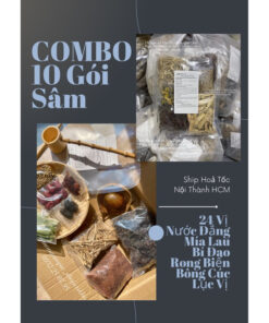[Combo 10 gói] Sâm 24 vị, Sâm Nước Đắng Hải Thượng Lãn Ông đủ loại (Đóng gói đi nước ngoài)