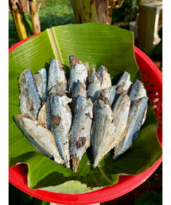 Khô cá bạc má hấp phơi khô