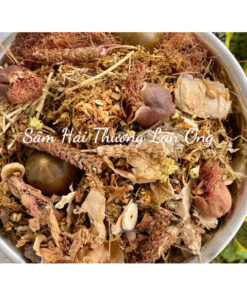 Sâm 24 vị Tiệm Hải Thượng Lãn Ông, Chuẩn vị người hoa, set to hàng đóng gói đi nước ngoài